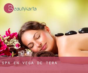 Spa en Vega de Tera