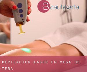 Depilación laser en Vega de Tera